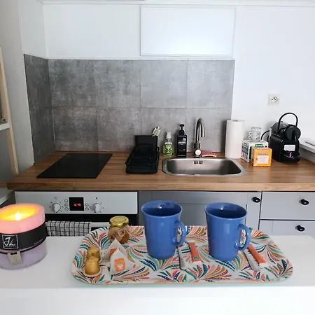 公寓 Duplex Lumineux- Vauban - Centre A Pied 里尔